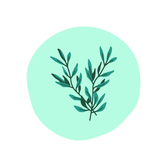  Rosemary Oil 