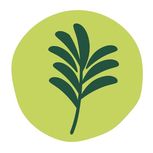  Tea Tree 
